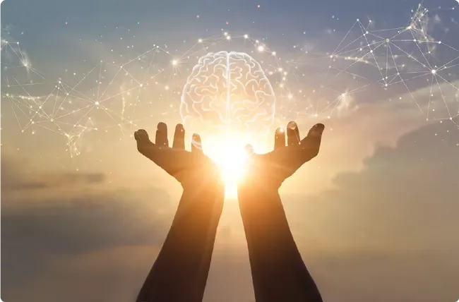 Image d'un cerveau