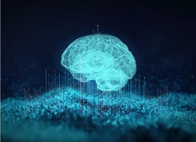 Illustration cerveau