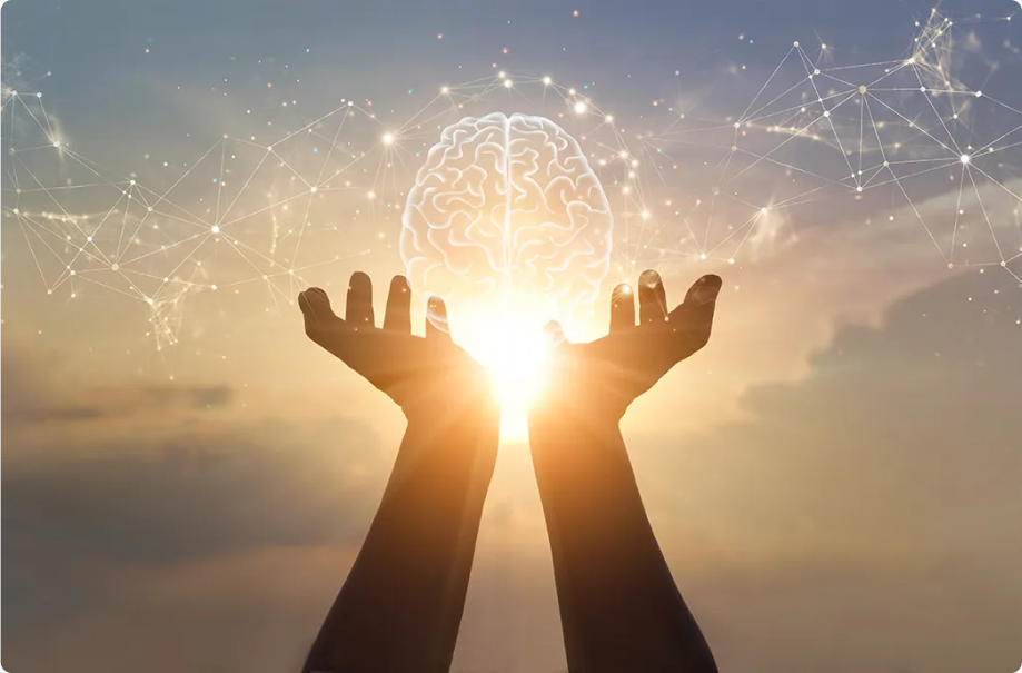 Image d'un cerveau